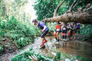 BIB: 
                            <button type="button" onclick="openModal(25516901)" class="btn btn-primary btn-sm float-right btn-popup" data-toggle="modal" data-target=".modal-high-quality">
                        <i class="fas fa-shopping-cart"></i> Add to Cart
                    </button>
                                            <button type="button" onclick="isThisMe(25516901, true)" class="btn btn-success btn-sm float-right btn-popup btn-isme hidden" data-toggle="tooltip" data-placement="bottom" title="นี่คือรูปของคุณใช่ไหม คลิกที่นี่เพื่อเอาเข้าอัลบั้ม">
                        <i class="fas fa-plus"></i> Add to album
                    </button>
                    <button type="button" onclick="isThisMe(25516901, false)" class="btn btn-warning btn-sm float-right btn-popup btn-isnotme hidden">
                        <i class="fas fa-ban"></i> Remove from album
                    </button>